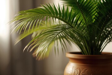 Obraz premium Lateral perspective of a plant in a pot