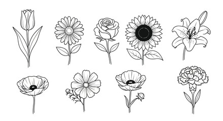 Collection of hand-drawn floral line art elements featuring various blooming flowers and leaves vector