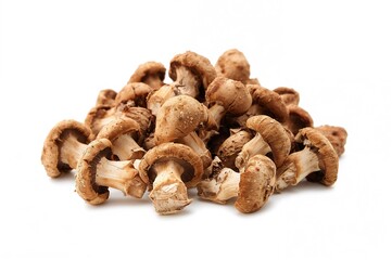 Fototapeta premium Dried shiitake fungi photographed on a plain white background