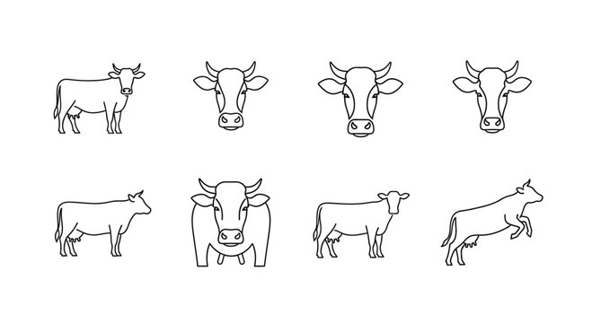 Diverse collection of hand-drawn cow and bull silhouettes and line art styles vector