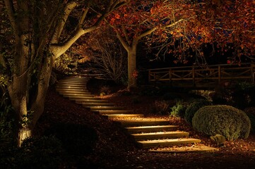 Illuminated steps ascending a slope at night