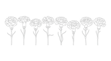 Elegant line drawing of carnation flowers in full bloom arrayed in a row vector