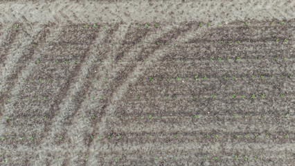 Aerial drone view of a field with visible tractor tracks, agricultural landscape from above