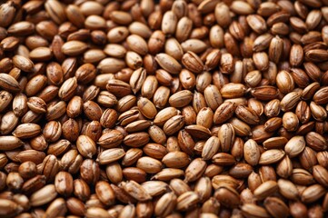 Close-up of sunflower seeds showcasing texture and natural health benefits