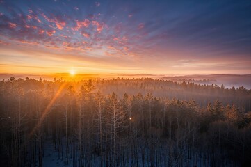 Obraz premium Dusk settling above the woodland with mist