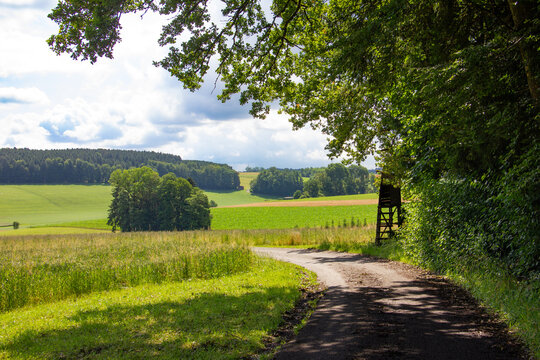 Rural Country Road with Hunting Stand in Upper Austria - Idyllic Summer Landscape with Green Fields and Forest