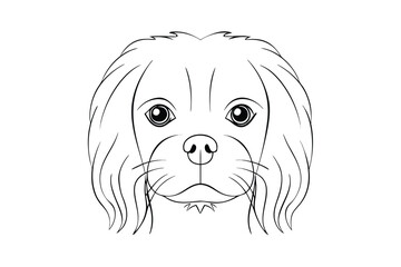 Line drawing a dog face with large eyes long flowing fur animal canine