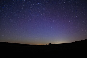 Night sky filled with stars over a shadowy meadow
