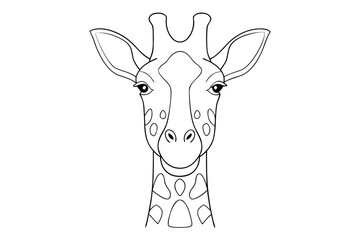Outline a giraffe's head neck animal wildlife