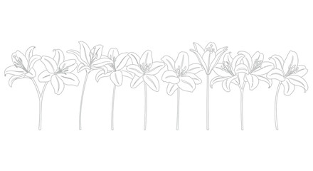 Decorative floral garland line art design with delicate petals and stems for event decorations vector