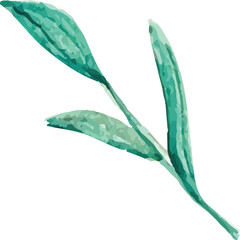 green leaf isolated on white 