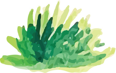 grass watercolor hand drawn. moss vector element design