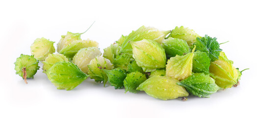 bitter melon, Bitter gourd on white background.
