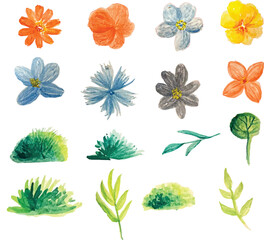 floral watercolor element, hand drawn isolated on white