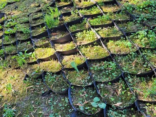 Geogrid for soil retention on slopes. Installation process of geosynthetics in industry and mining