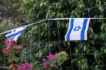 An Israeli flag is displayed on a fence surrounded by lush greenery and vibrant pink flowers. This scene captures a moment of cultural pride and natural beauty.