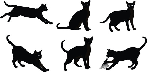 Black cat silhouette vector, leaping sitting standing stretching crouching poses, cartoon feline outline illustration, pet animal posture clipart, domestic cat breed design element