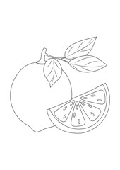A simple outline drawing of a lime with a slice and leaves. Minimalistic illustration with a black outline for coloring books, packaging, print media, logo design, and educational materials.

