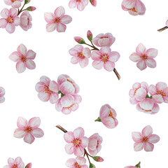 Watercolor seamless pattern with almond blossoms. For your design