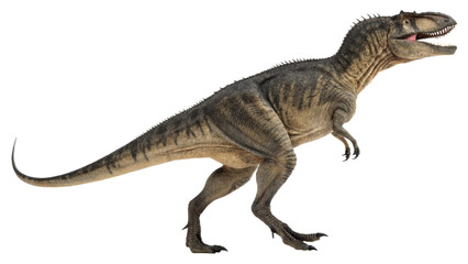 Fototapeta premium Albertosaurus, isolated on a transparent background PNG