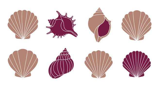A collection of seashells and marine life icons with unique textures.