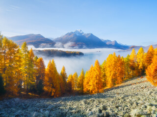 Nature. Fog and fall forest. Autumn landscape in the Swiss Alps. Foggy morning. Incredible view of the mountain valley. Photo for background, wallpaper, postcards.