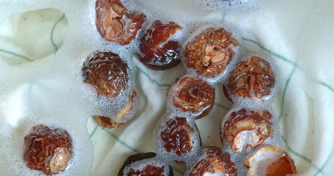 Soap nuts floating in water with bubbles. Close-up footage of the rotating table.