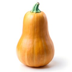 Butternut squash isolated on white background