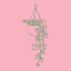 Hanging Ivy Plant in a Pot with a Soft Pink , Featuring Green Vines and Heart-Shaped Leaves