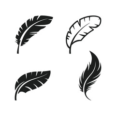 hand-drawn feather clipart vector