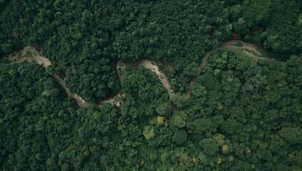 Obraz premium Winding River Through Lush Green Forest Aerial Perspective