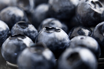 Fresh wet blueberries with water droplets on a glass dish. Macro shot. 
