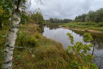 Fototapeta premium river in the forest
