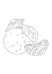 A simple outline drawing of a tangerine with a leaf and a delicious slice. Minimalistic illustration with a black outline for coloring books, packaging, printed materials, logo design.