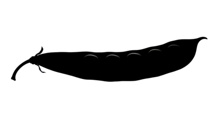 Silhouette of a pea pod isolated PNG with Transparent Background