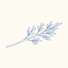 Delicate sprig of slender leaves with fine detailing and a graceful curve, set against a neutral for elegant presentation