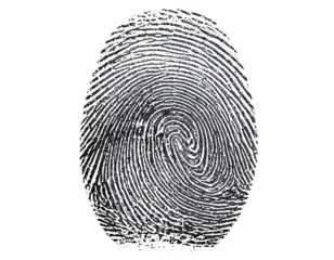 Intricate Human Thumb Fingerprint Transparent Background.