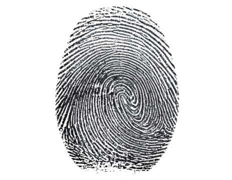 Intricate Human Thumb Fingerprint Transparent Background.