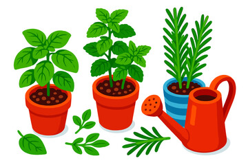 Fototapeta premium set of plants in pots