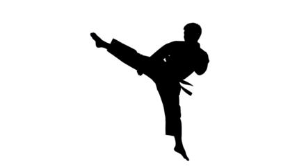 Silhouette of a karateka executing a high kick isolated PNG with Transparent Background