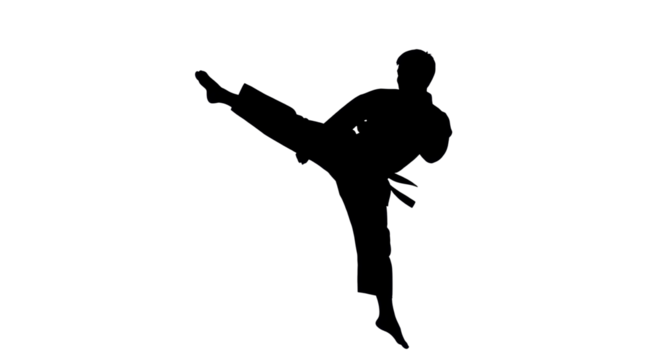 Silhouette of a karateka executing a high kick isolated PNG with Transparent Background - Powered by Adobe