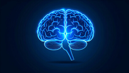 Glowing Brain Anatomy