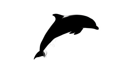 Fototapeta premium Silhouette of a jumping dolphin isolated PNG with Transparent Background