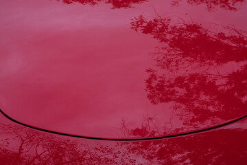 Red Reflections — Tree Branches on the Hood