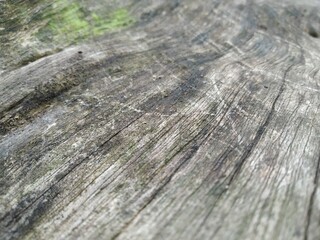 Old Wood  Textures Full Of History