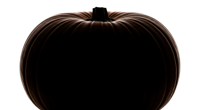 Silhouette of a ripe pumpkin for Halloween celebration isolated PNG with Transparent Background