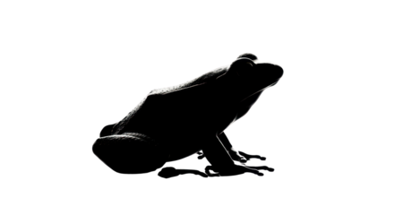 Silhouette of a frog isolated PNG with Transparent Background