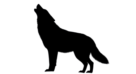 Silhouette of a howling wolf isolated PNG with Transparent Background