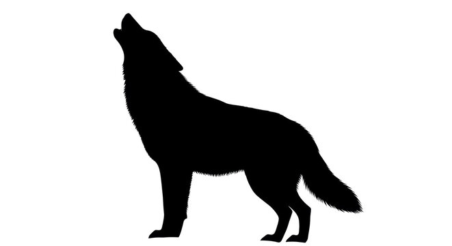 Silhouette of a howling wolf isolated PNG with Transparent Background