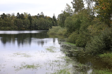 A peaceful view of a river surrounded by dense forest with a small glimpse of sky, capturing the calm and harmony of nature.